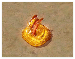QQ_1750867491502.png