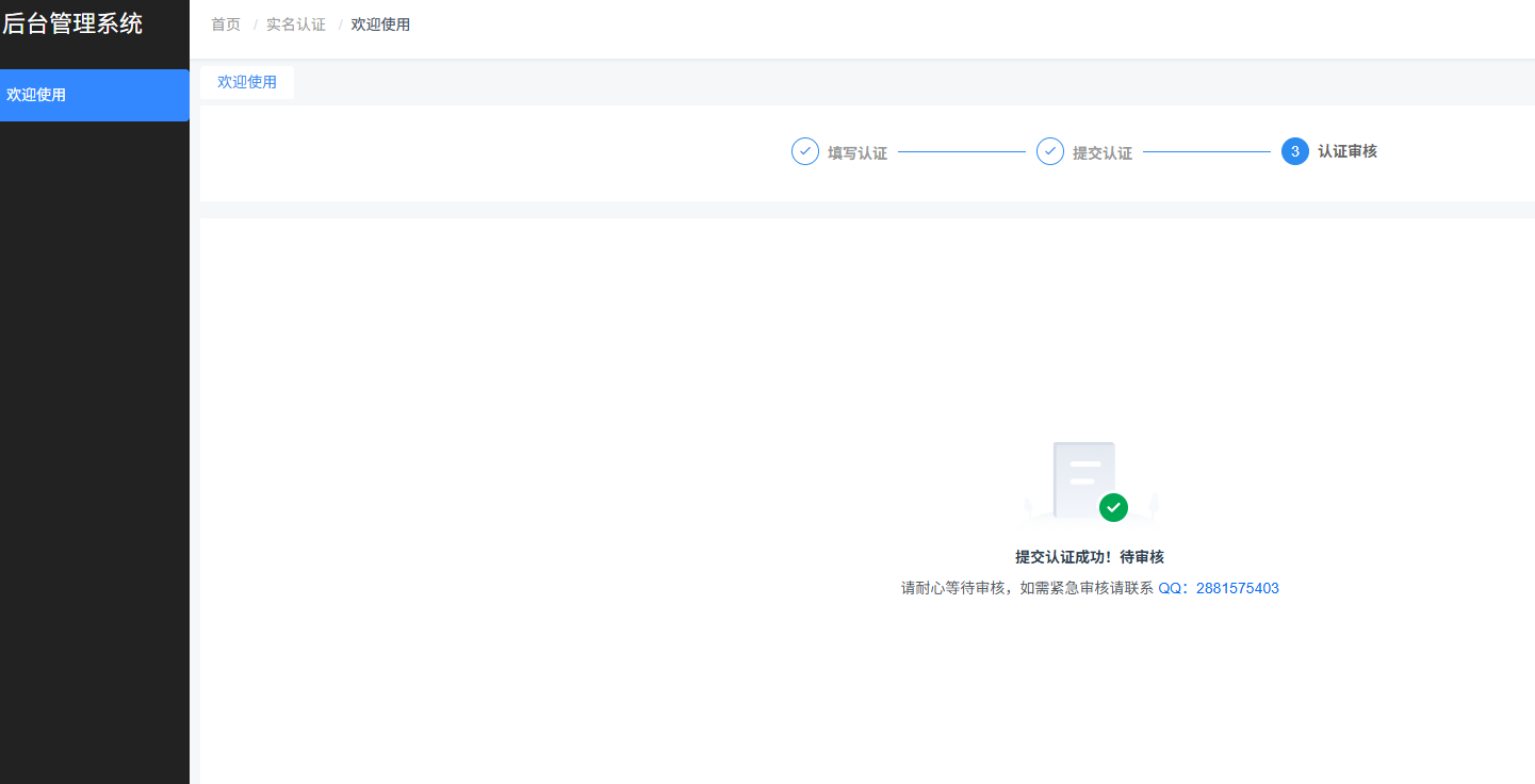 审核中